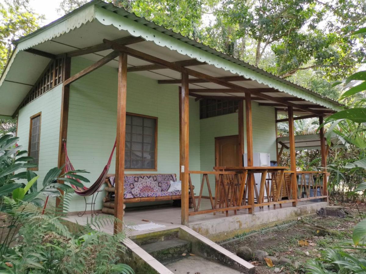 Luna Caribena Village Puerto Viejo de Talamanca Εξωτερικό φωτογραφία