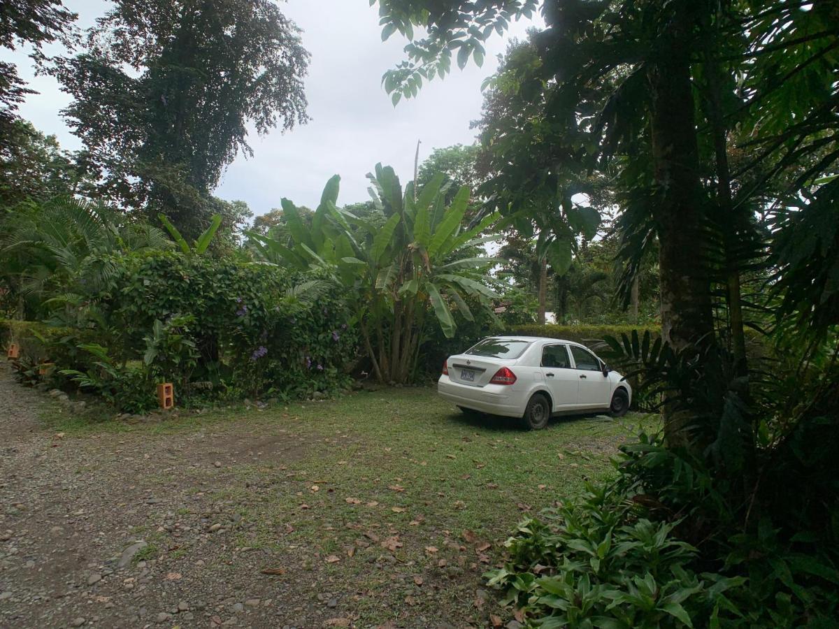 Luna Caribena Village Puerto Viejo de Talamanca Εξωτερικό φωτογραφία