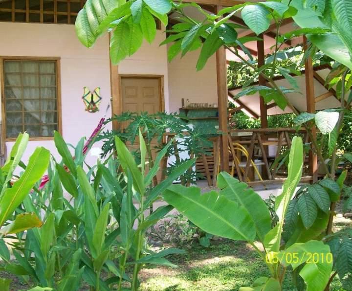 Luna Caribena Village Puerto Viejo de Talamanca Εξωτερικό φωτογραφία