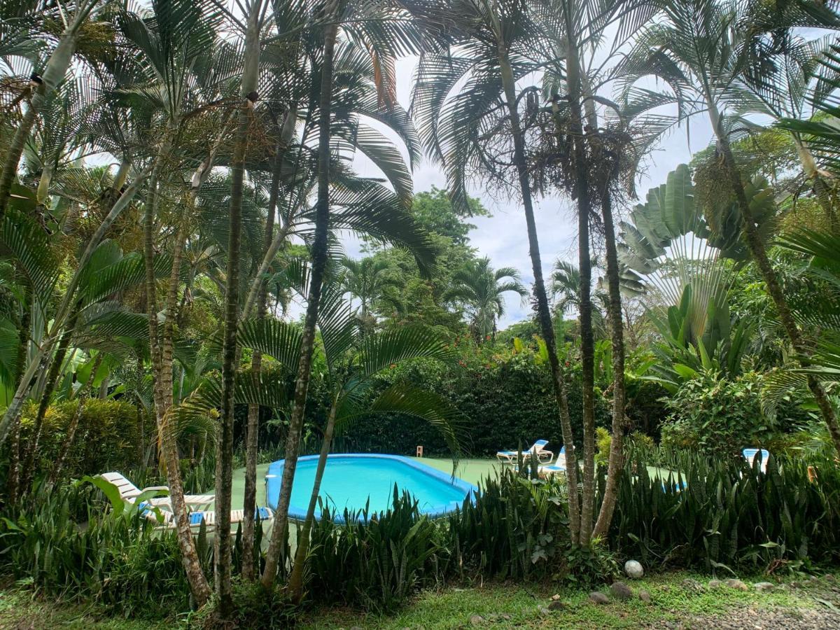 Luna Caribena Village Puerto Viejo de Talamanca Εξωτερικό φωτογραφία