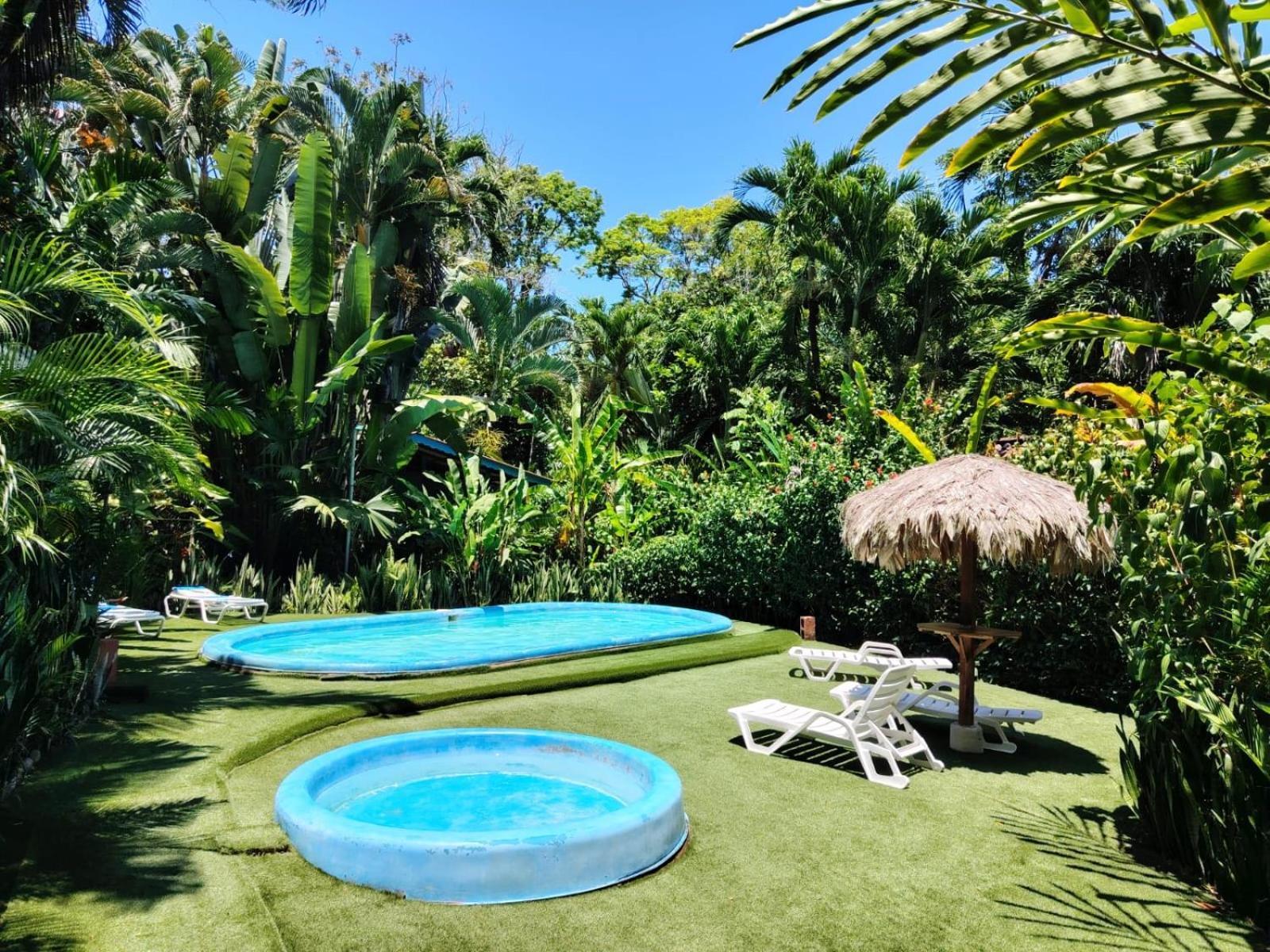 Luna Caribena Village Puerto Viejo de Talamanca Εξωτερικό φωτογραφία