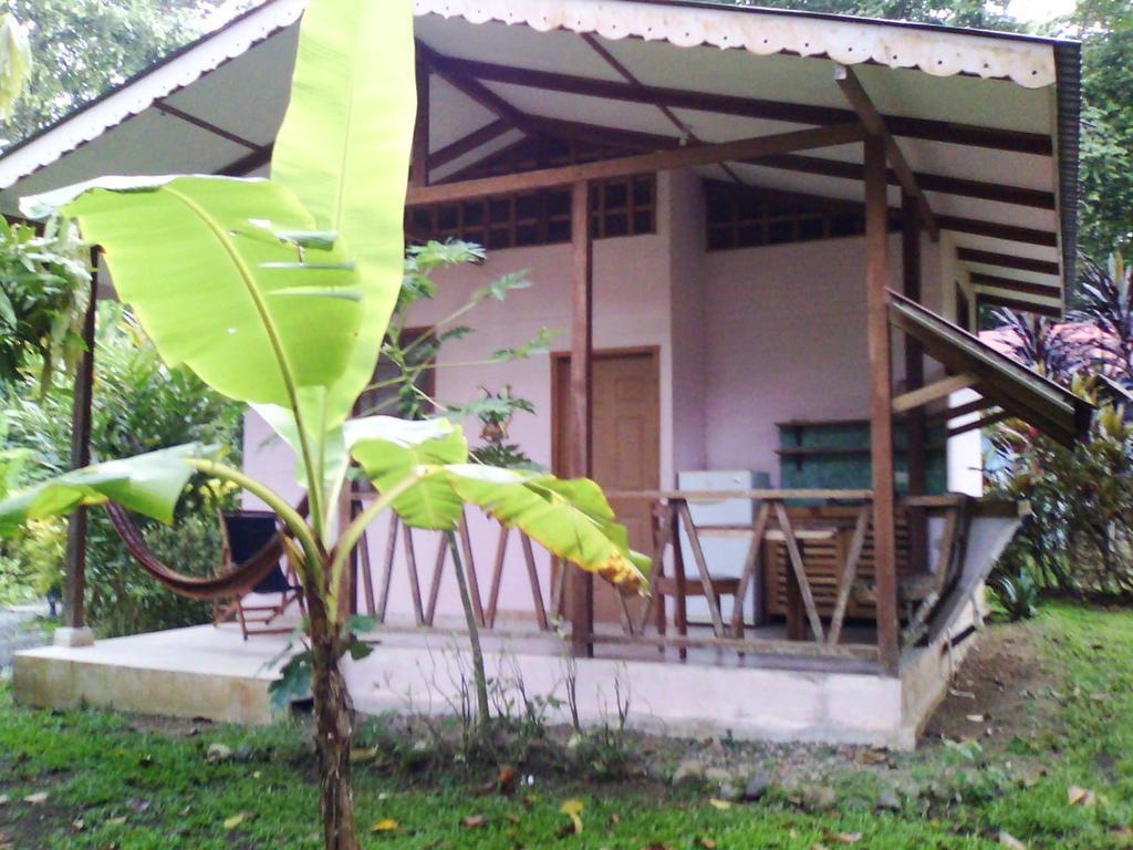 Luna Caribena Village Puerto Viejo de Talamanca Εξωτερικό φωτογραφία