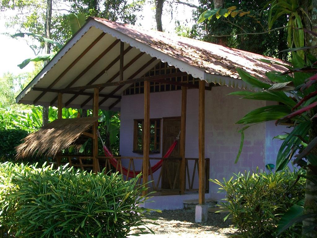 Luna Caribena Village Puerto Viejo de Talamanca Εξωτερικό φωτογραφία