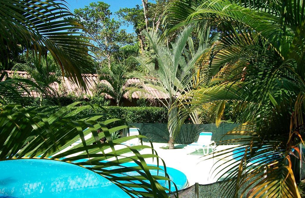 Luna Caribena Village Puerto Viejo de Talamanca Εξωτερικό φωτογραφία