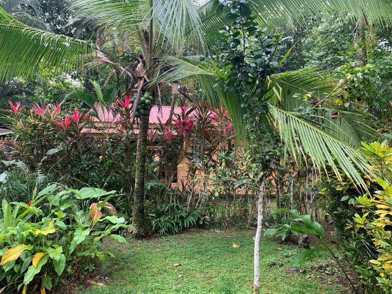 Luna Caribena Village Puerto Viejo de Talamanca Εξωτερικό φωτογραφία