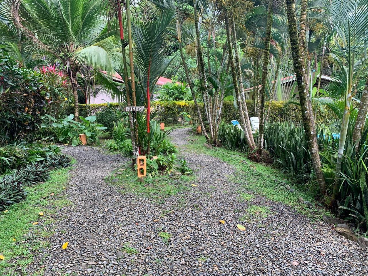 Luna Caribena Village Puerto Viejo de Talamanca Εξωτερικό φωτογραφία