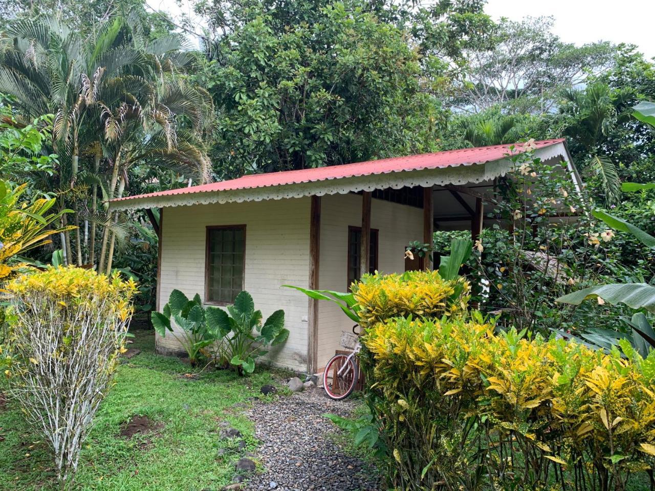 Luna Caribena Village Puerto Viejo de Talamanca Εξωτερικό φωτογραφία