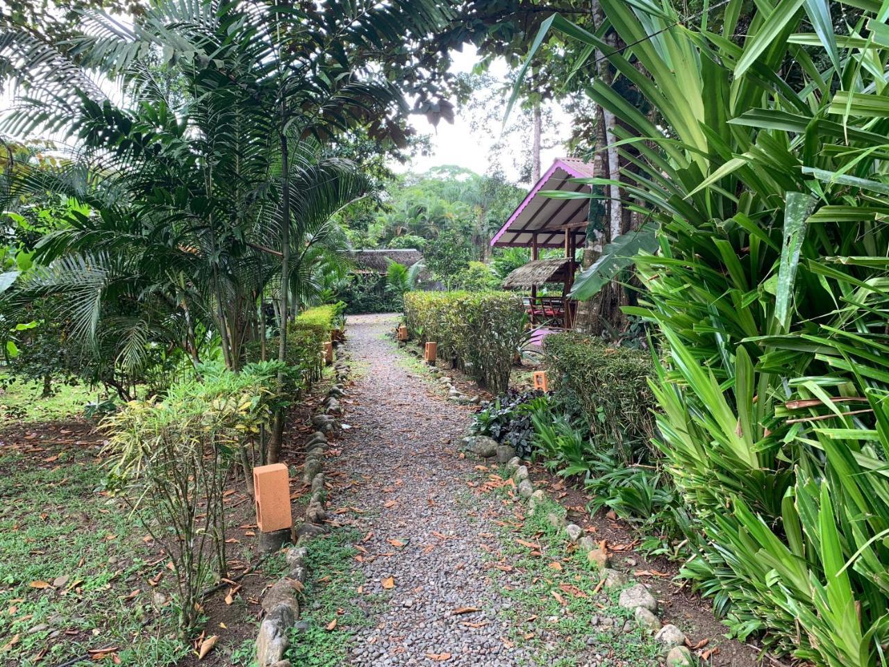Luna Caribena Village Puerto Viejo de Talamanca Εξωτερικό φωτογραφία
