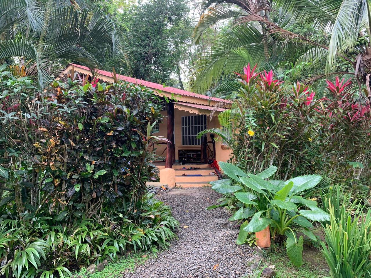 Luna Caribena Village Puerto Viejo de Talamanca Εξωτερικό φωτογραφία
