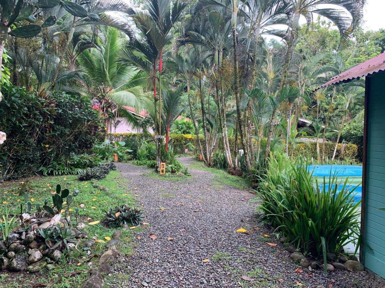 Luna Caribena Village Puerto Viejo de Talamanca Εξωτερικό φωτογραφία