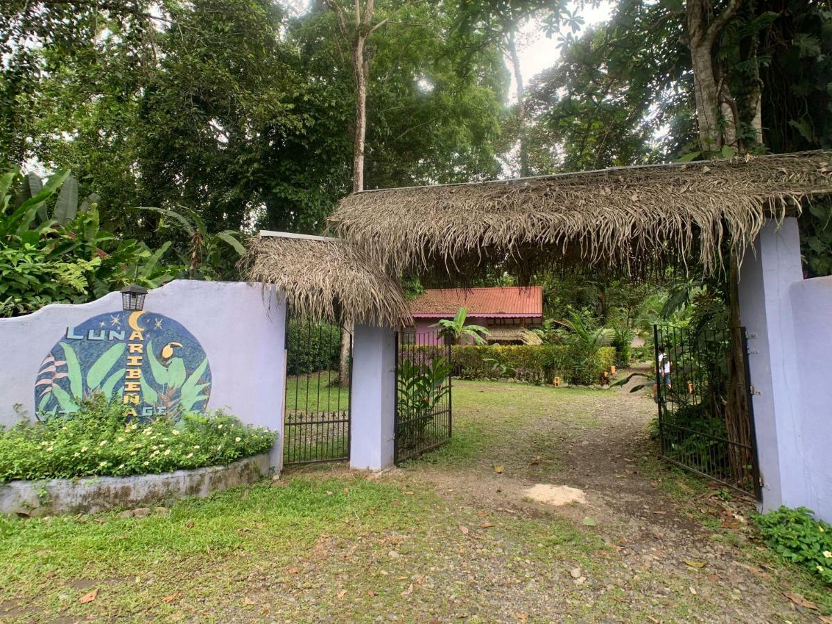 Luna Caribena Village Puerto Viejo de Talamanca Εξωτερικό φωτογραφία
