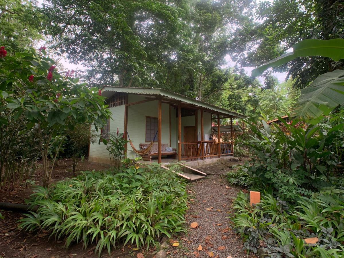 Luna Caribena Village Puerto Viejo de Talamanca Εξωτερικό φωτογραφία