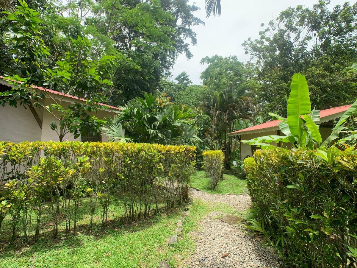 Luna Caribena Village Puerto Viejo de Talamanca Εξωτερικό φωτογραφία